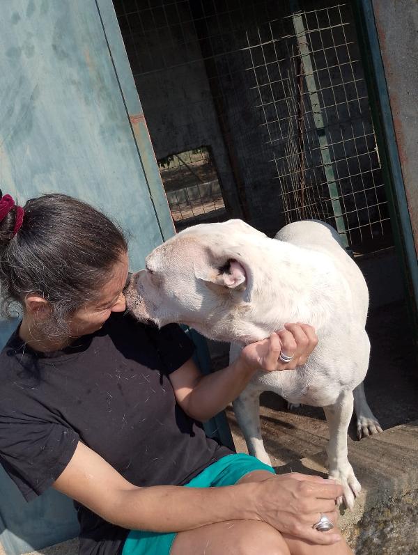 💔 OPI: Una vita in attesa di amore 💔 Foto 7